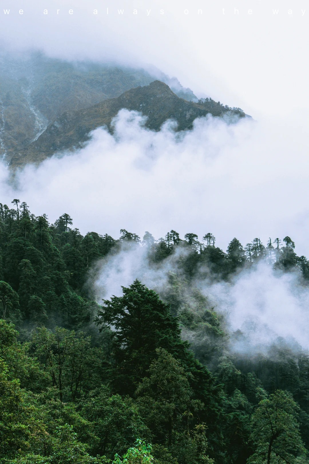 “我们一起去了墨脱”_2_贺贺-贺小唏_墨脱-来自52tours 我爱旅游网